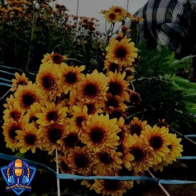 دانلود ریمیکس مرگ ترسناک ولی حق غمناک به دادم برس که داغون لقبم