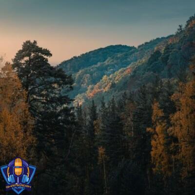 دانلود آهنگ میترسه پاش به دل وا شه آدم بی خود خاطر خواه شه