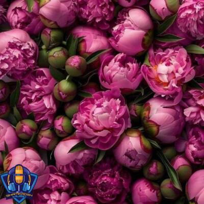 دانلود آهنگ نجنگ با من که میکنم جنگ برات