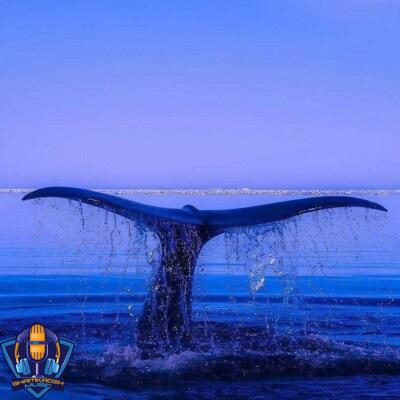 دانلود آهنگ تو همه جون منی همه وجود منی