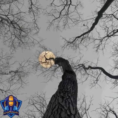 دانلود آهنگ مهدی اکبریان مغان تویلاری