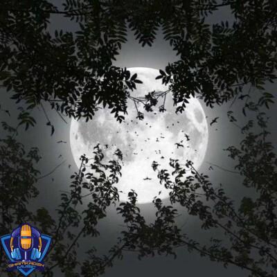 دانلود آهنگ میرجلال نعمت اف دلبره دلبر کوزی کارا دیلبر