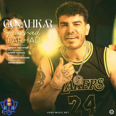فرهاد فرهادی  گناهکار