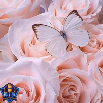 دانلود آهنگ اگه ارومیه بشی روت ارس میکشم