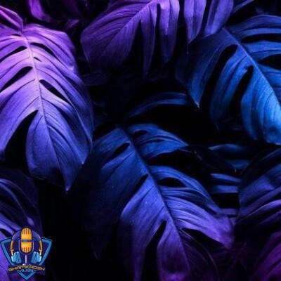 دانلود آهنگ عربی ترند yama yama دانلود آهنگ عربی ترند yama yama