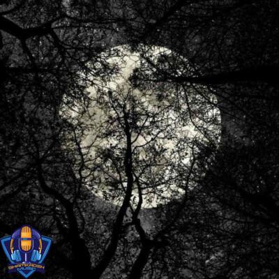دانلود آهنگ ترژر پارادایس